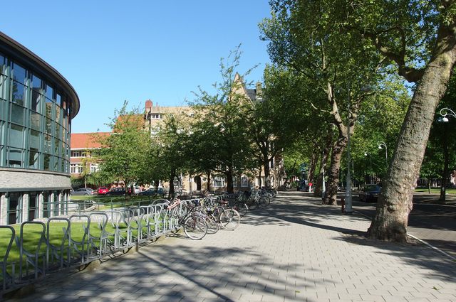 Oud Zuid Oud Zuid